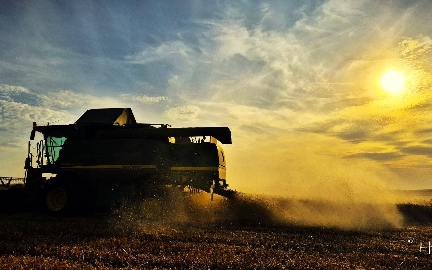 Moisson au coucher du soleil